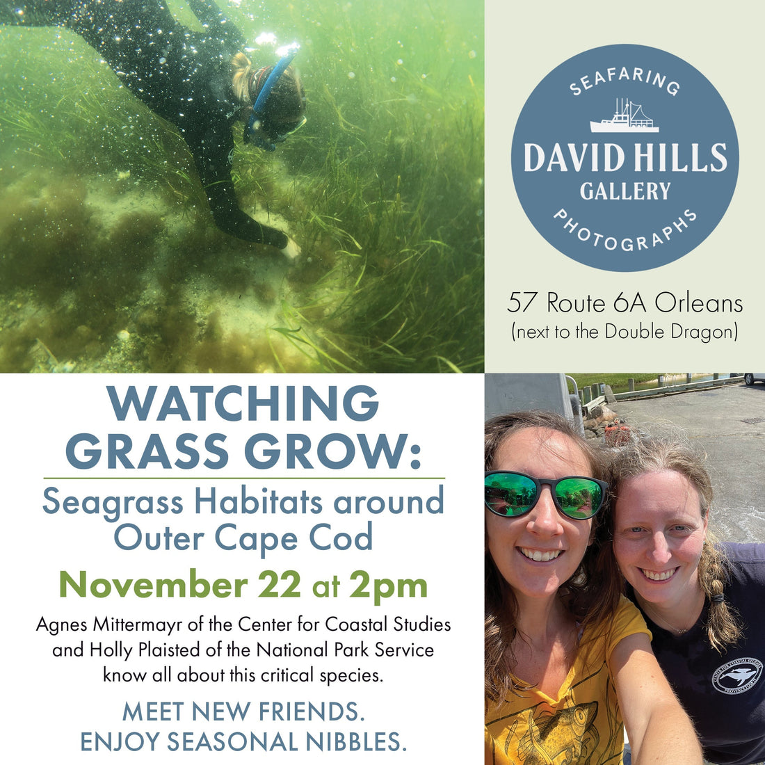 Watching Grass Grow: seagrass habitats around Outer Cape Cod