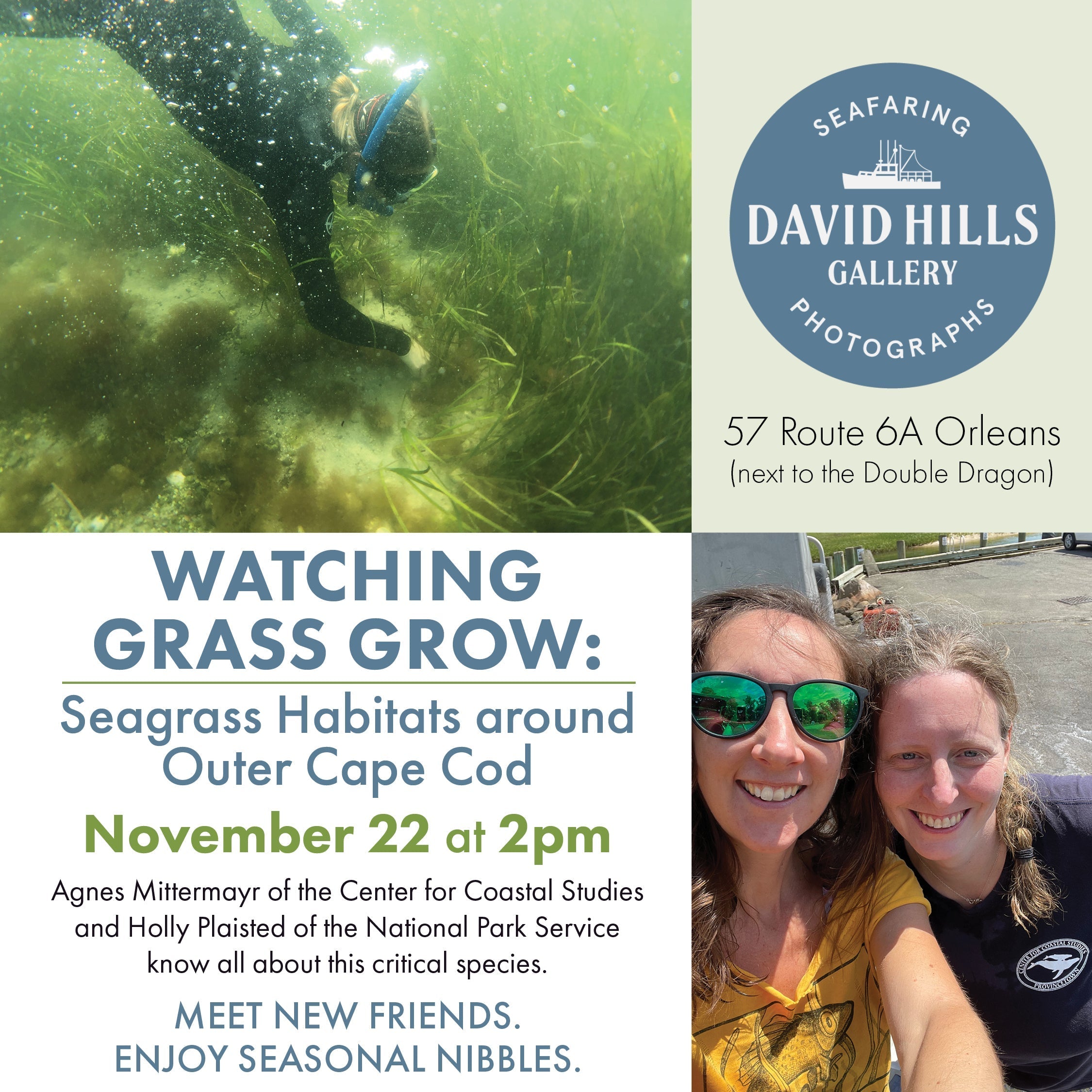 Watching Grass Grow: seagrass habitats around Outer Cape Cod