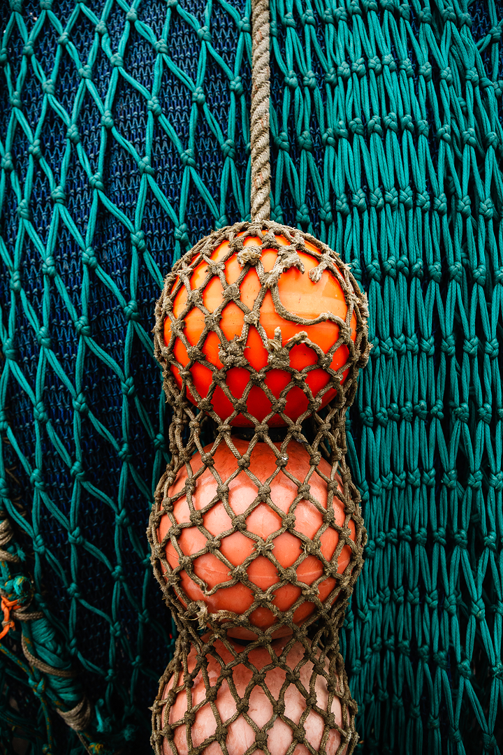 Calamari Catcher