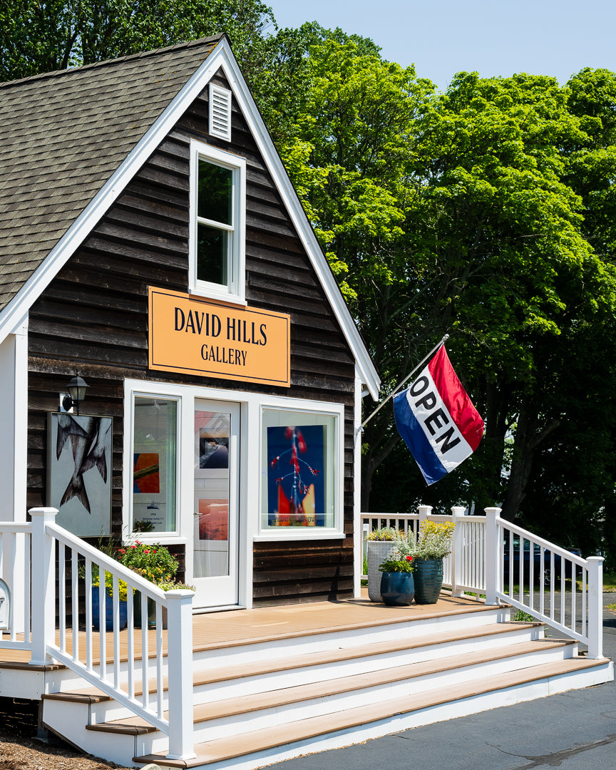 David Hills Gallery
