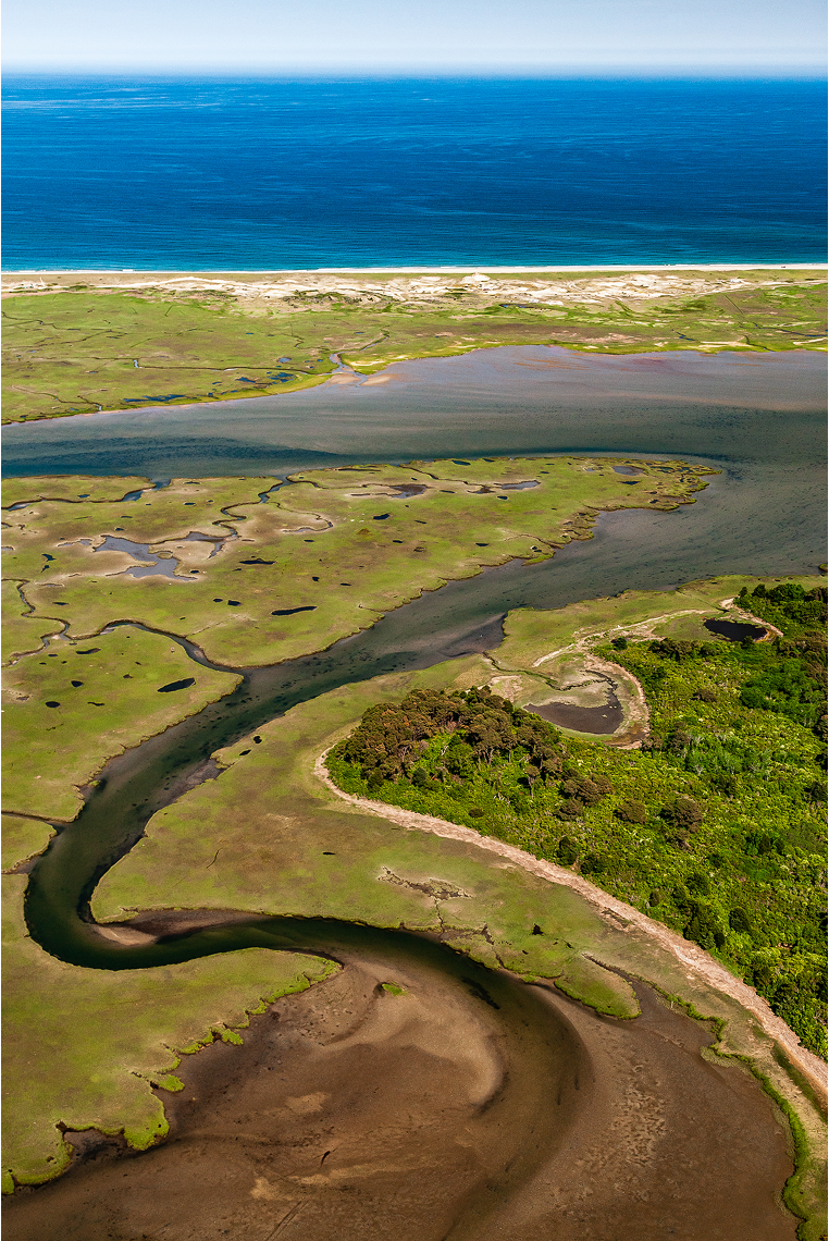 Hog Island Curves