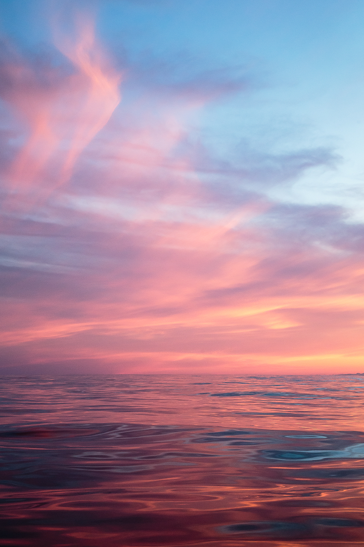 Sailor's Delight