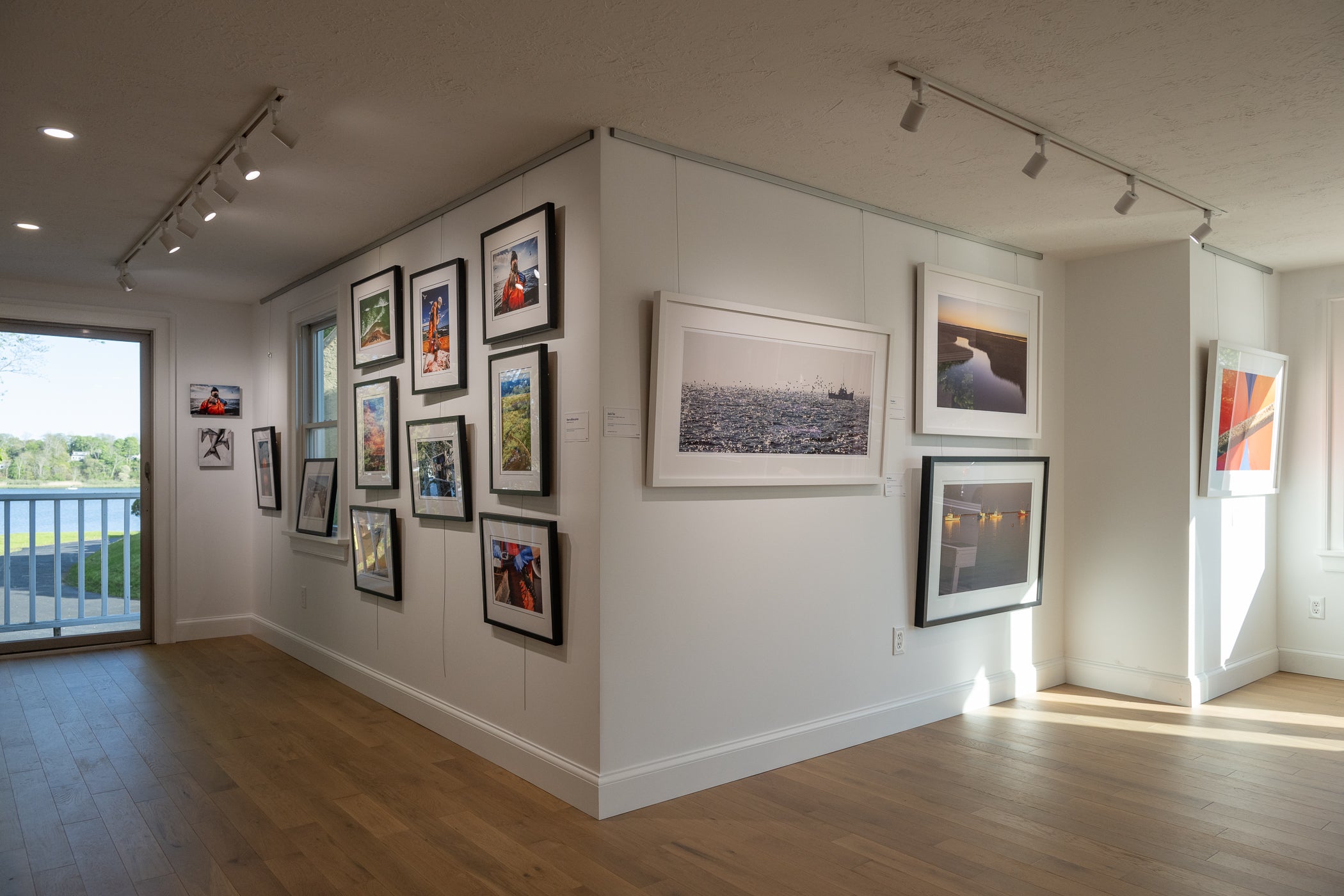 David Hills Gallery